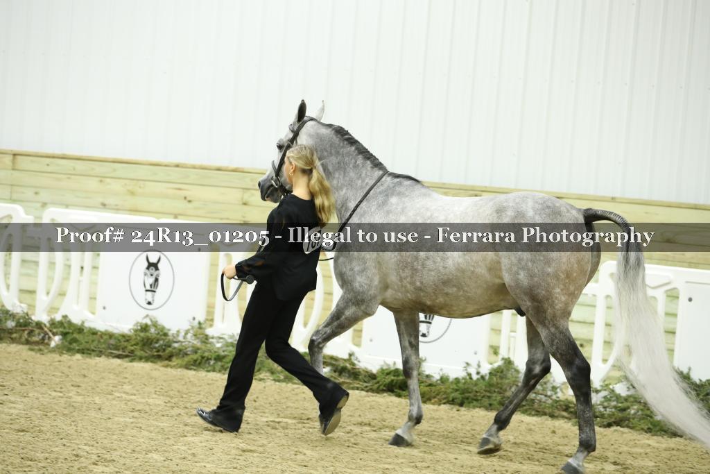 Proof Number 24R13_01205