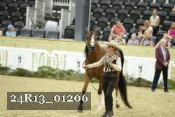 24R13_01206 thumbnail