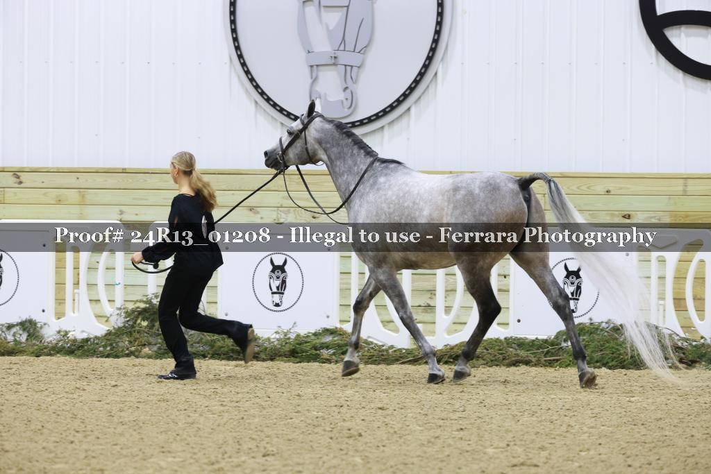 Proof Number 24R13_01208