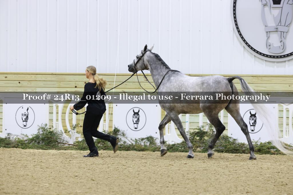 Proof Number 24R13_01209