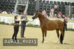 24R13_01215 thumbnail