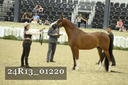 24R13_01220 thumbnail