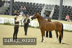 24R13_01221 thumbnail