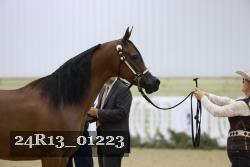 24R13_01223 thumbnail