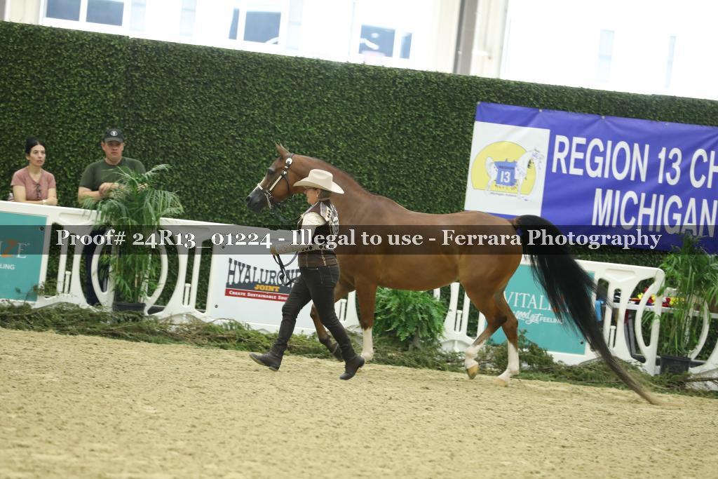 Proof Number 24R13_01224