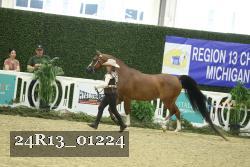 24R13_01224 thumbnail