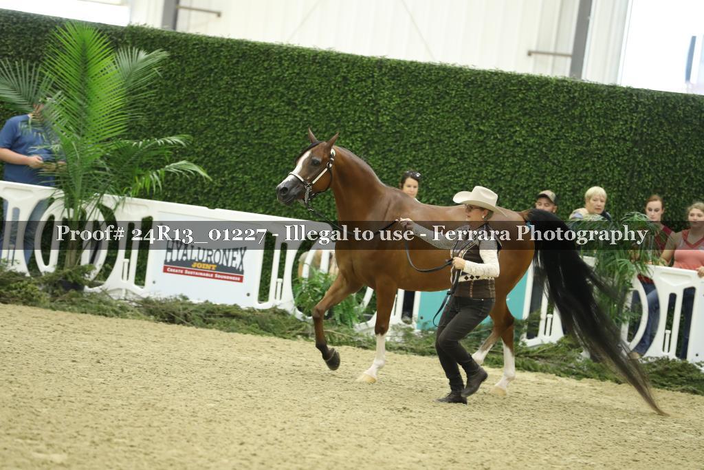 Proof Number 24R13_01227