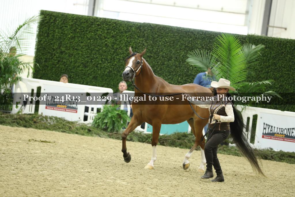 Proof Number 24R13_01229