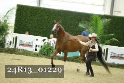 24R13_01229 thumbnail