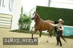 24R13_01230 thumbnail