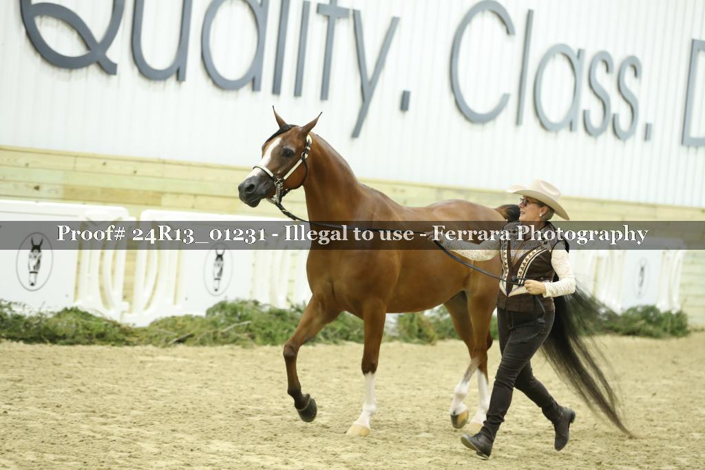 Proof Number 24R13_01231