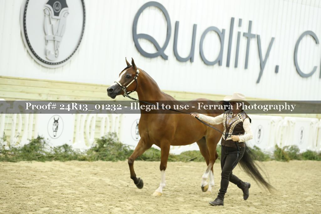 Proof Number 24R13_01232