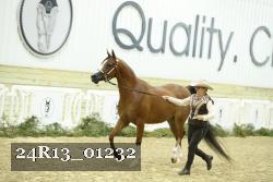 24R13_01232 thumbnail