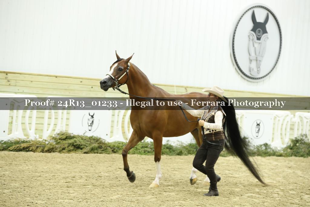 Proof Number 24R13_01233