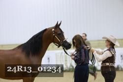 24R13_01234 thumbnail