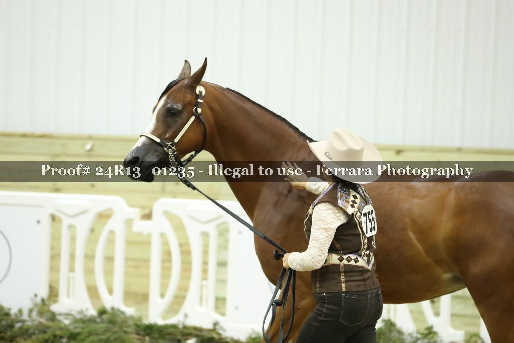 Proof Number 24R13_01235