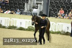 24R13_01236 thumbnail