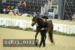 24R13_01237 thumbnail