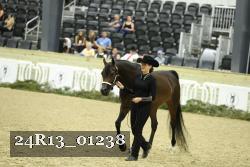 24R13_01238 thumbnail