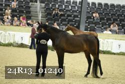 24R13_01240 thumbnail