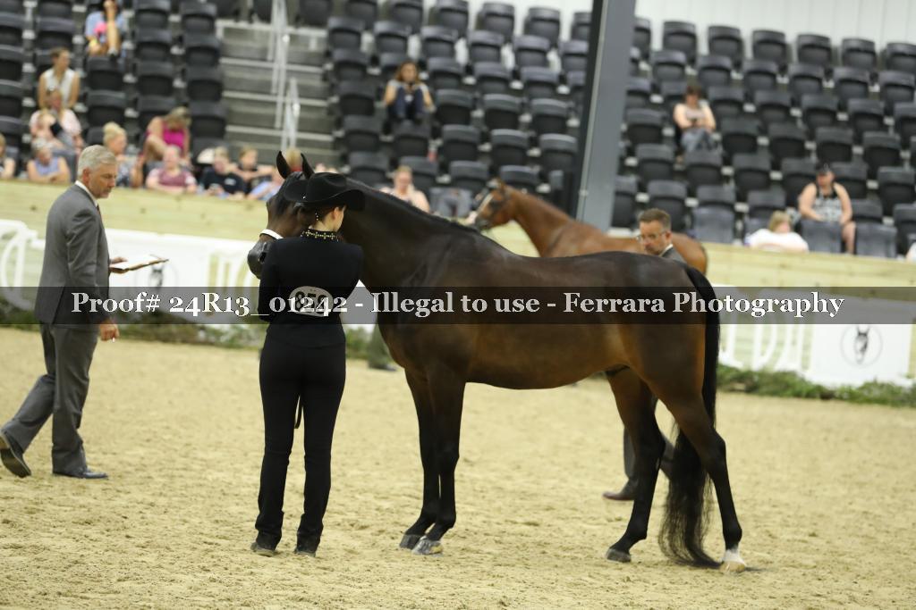 Proof Number 24R13_01242