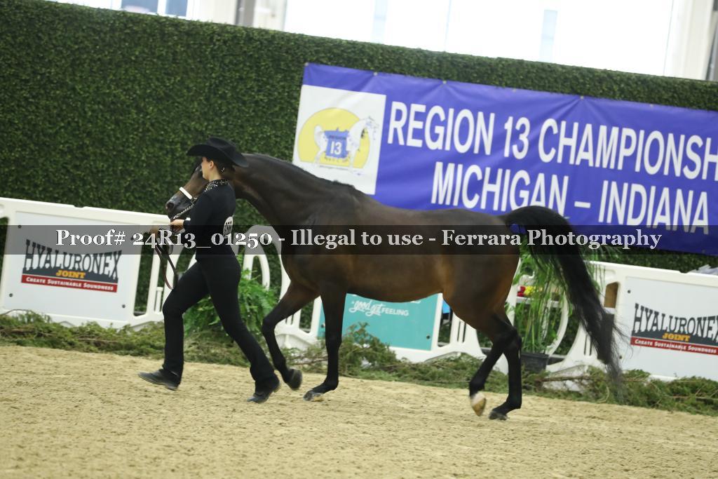 Proof Number 24R13_01250