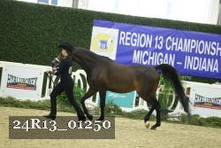 24R13_01250 thumbnail