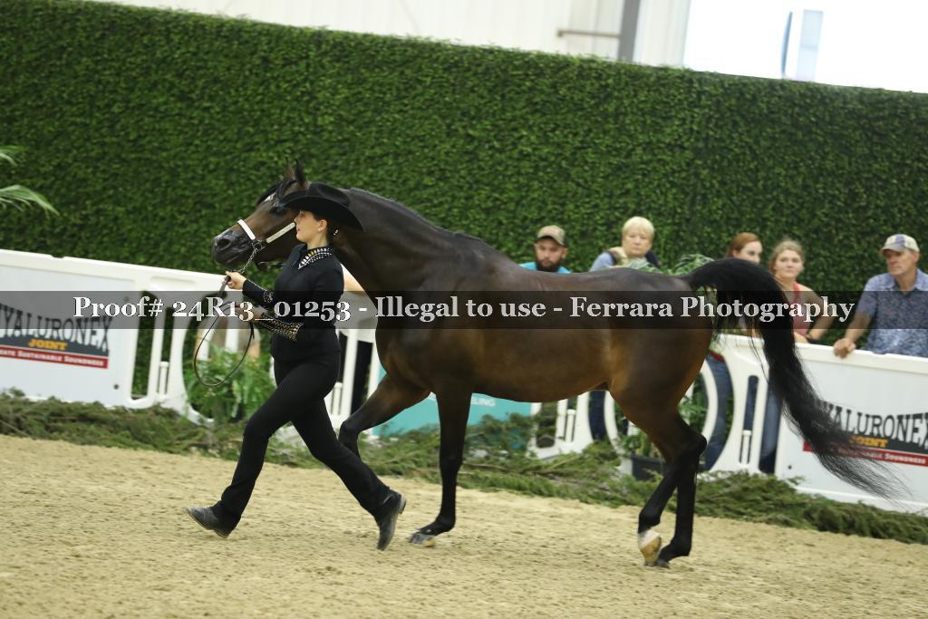 Proof Number 24R13_01253
