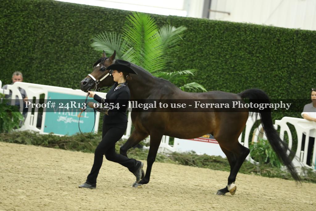 Proof Number 24R13_01254
