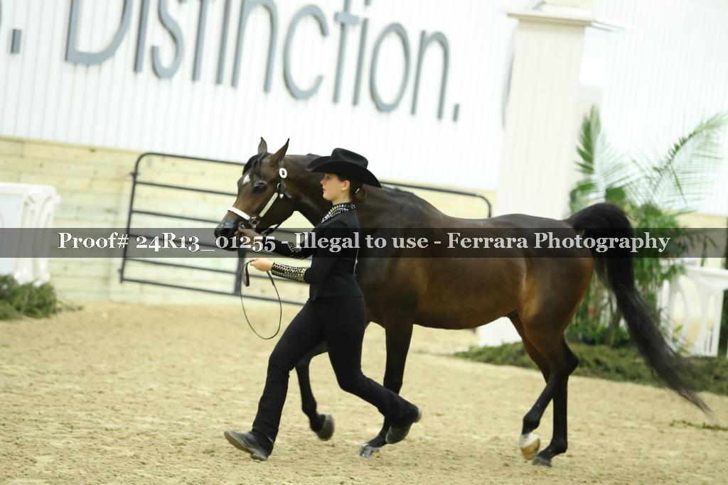 Proof Number 24R13_01255