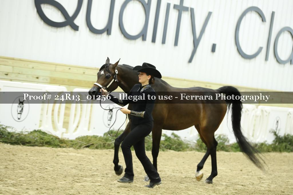 Proof Number 24R13_01256
