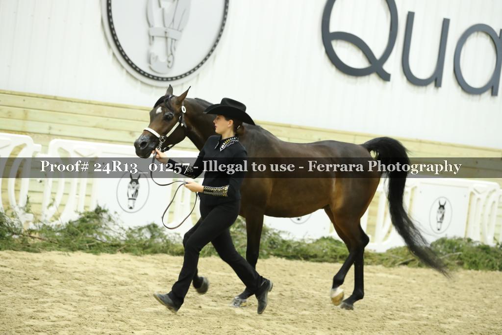 Proof Number 24R13_01257