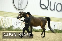 24R13_01257 thumbnail