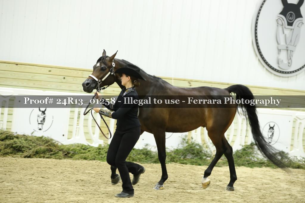 Proof Number 24R13_01258