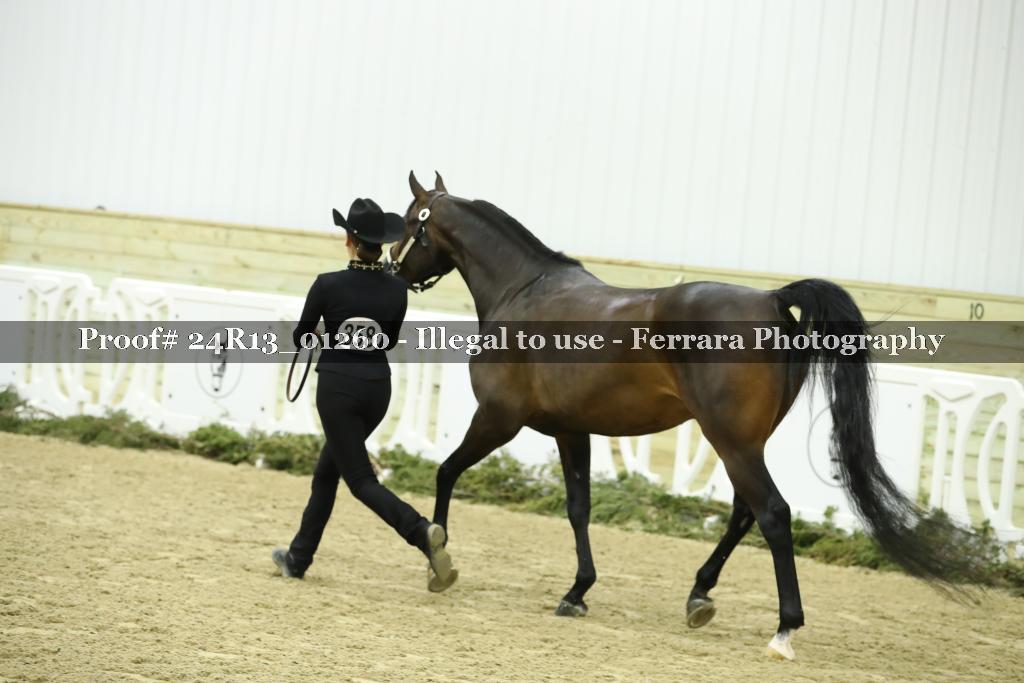 Proof Number 24R13_01260