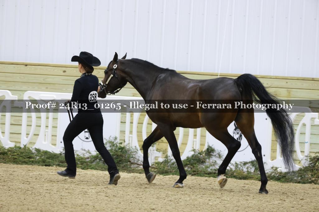 Proof Number 24R13_01265