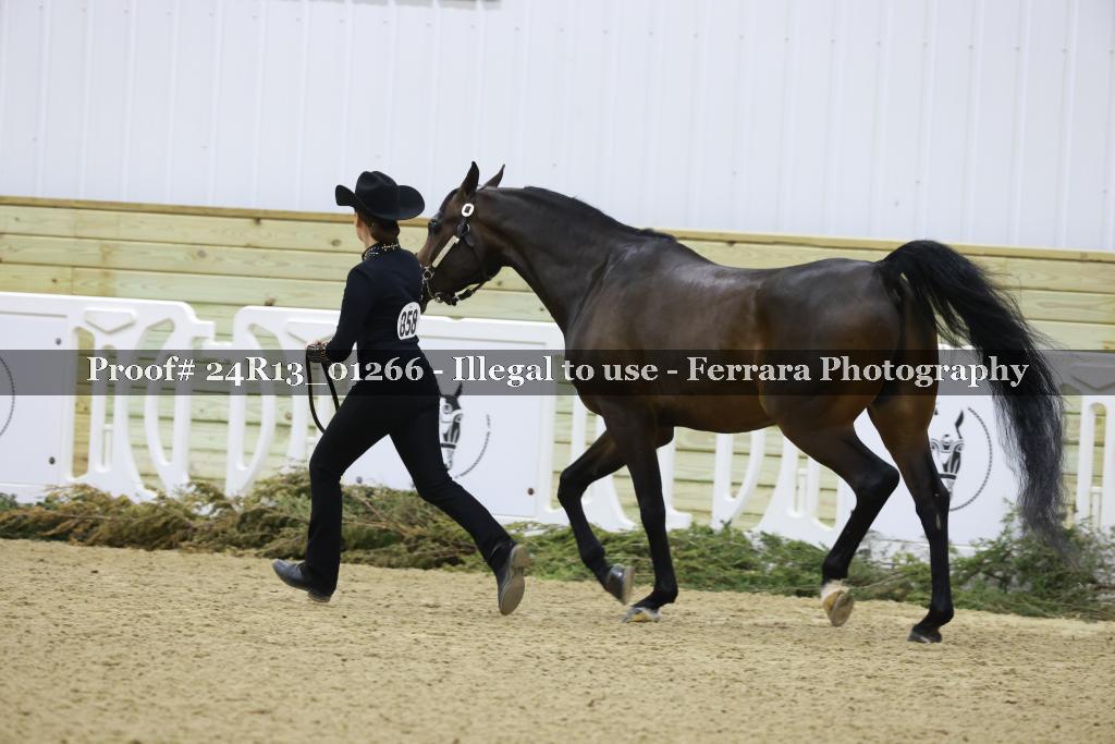 Proof Number 24R13_01266