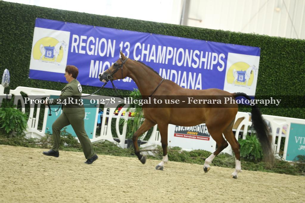 Proof Number 24R13_01278