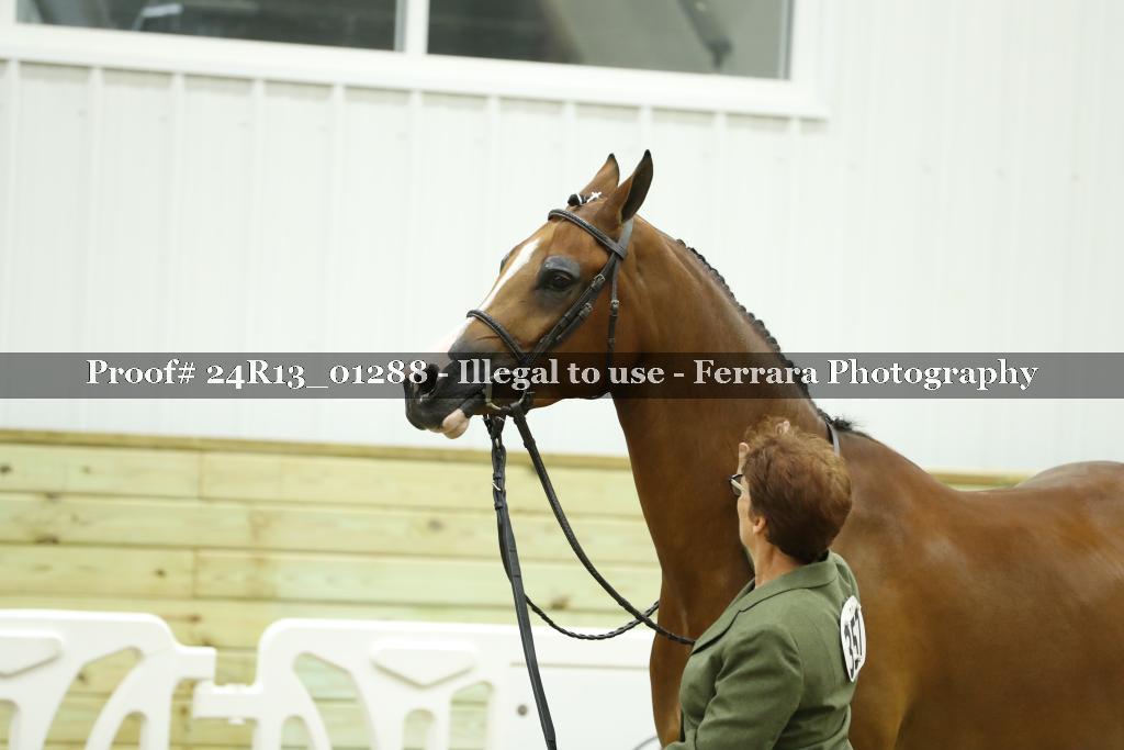 Proof Number 24R13_01288