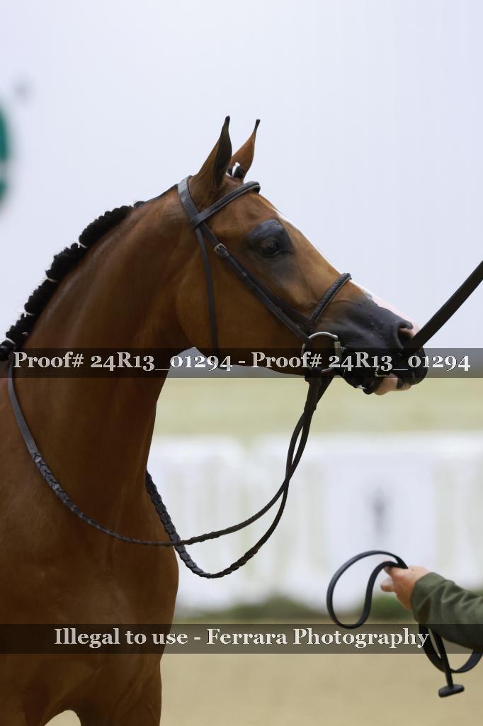 Proof Number 24R13_01294