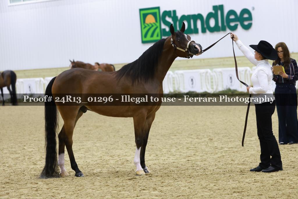 Proof Number 24R13_01296