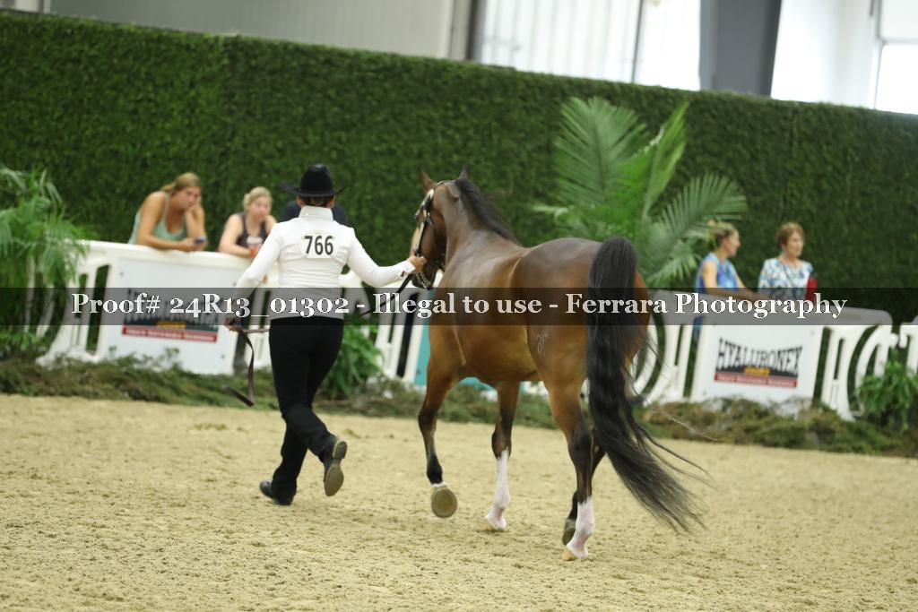 Proof Number 24R13_01302