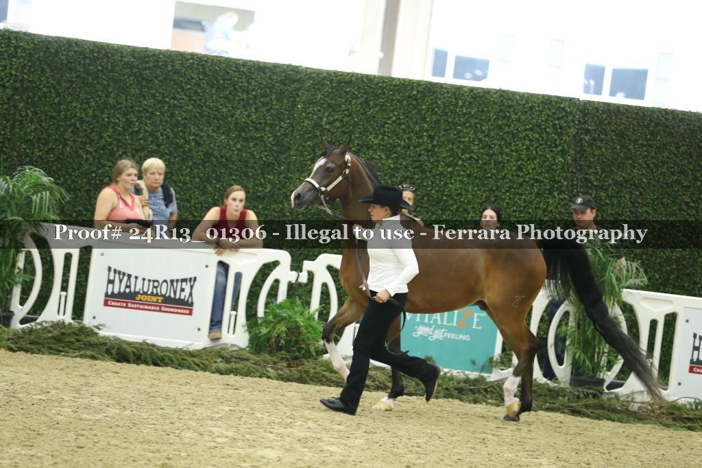 Proof Number 24R13_01306