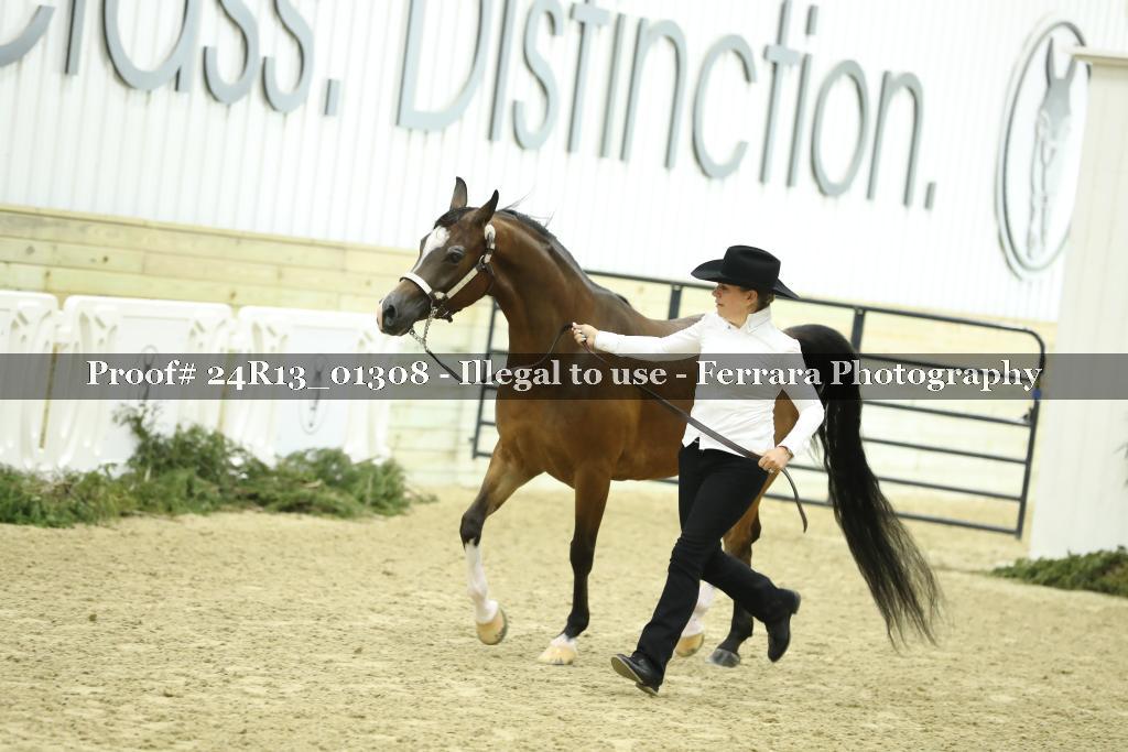 Proof Number 24R13_01308