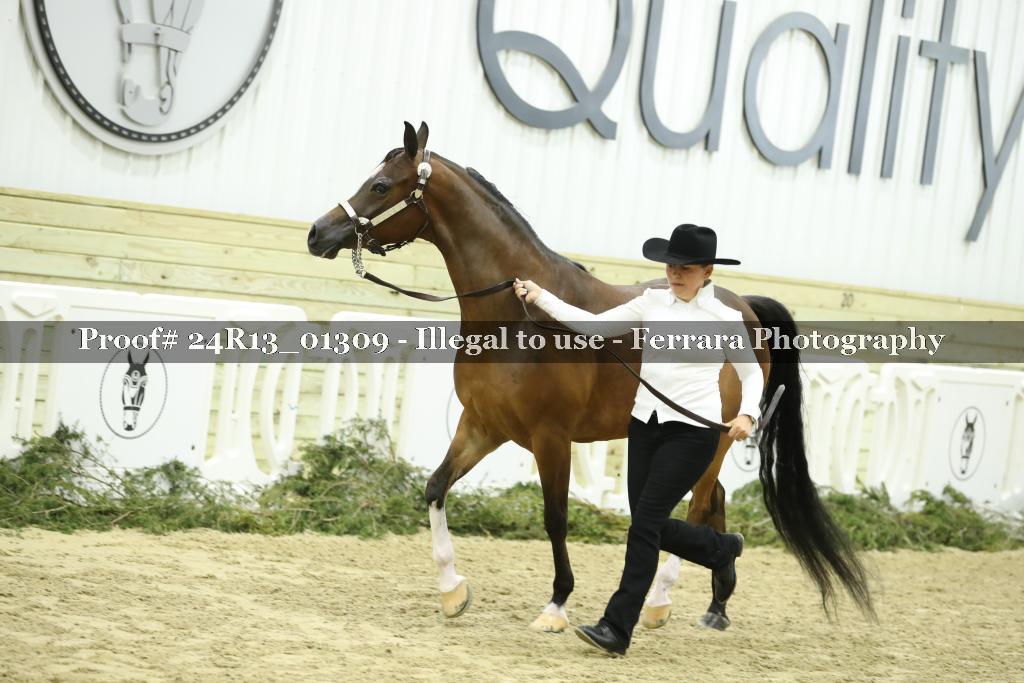 Proof Number 24R13_01309