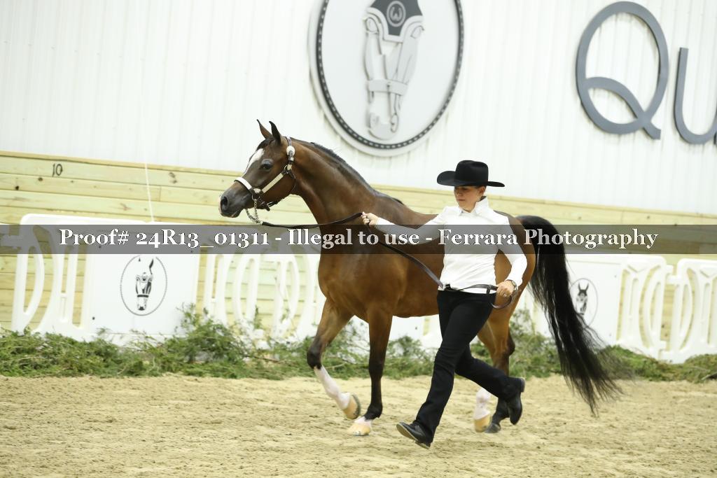 Proof Number 24R13_01311