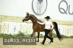 24R13_01311 thumbnail