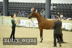 24R13_01324 thumbnail