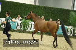 24R13_01327 thumbnail