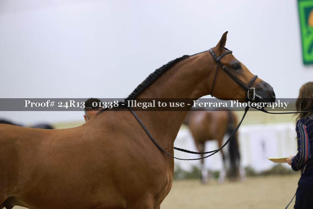 Proof Number 24R13_01338